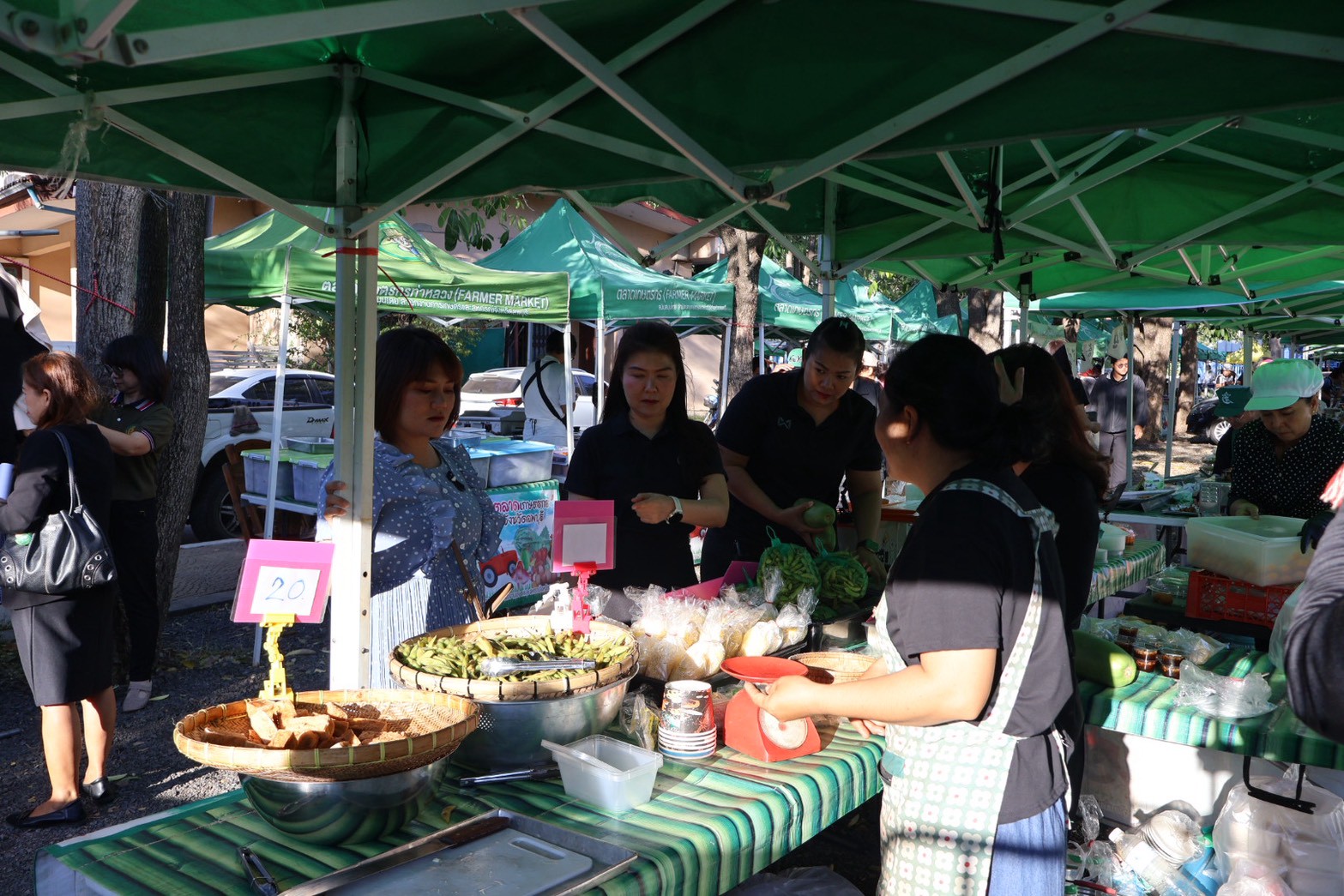 title - โครงการส่งความสุขปีใหม่มอบให้เกษตรกรในเขตปฏิรูปที่ดิน ประจำปีงบประมาณ พ.ศ. 2569